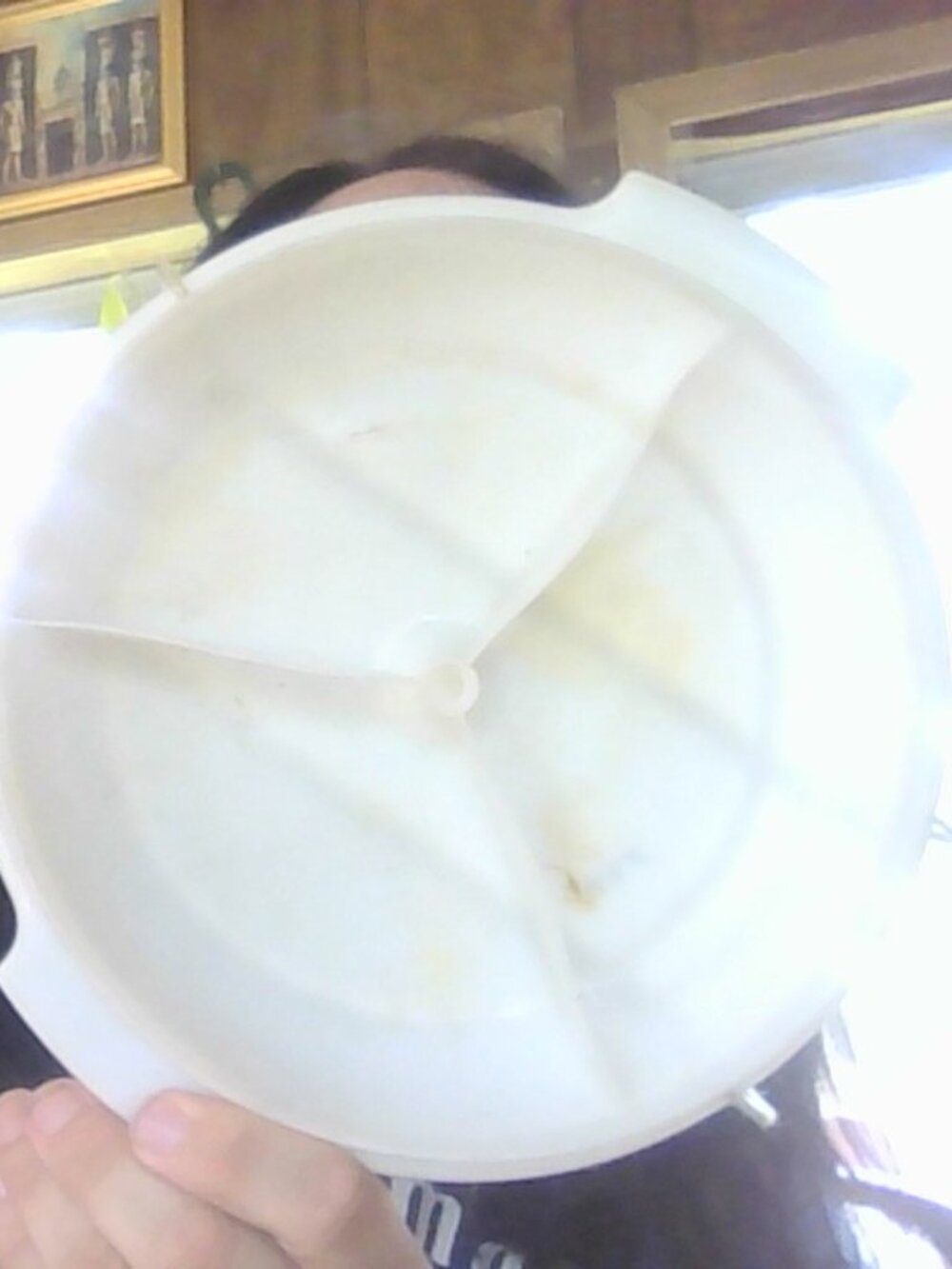 Tupperware vintage plastic devided plate